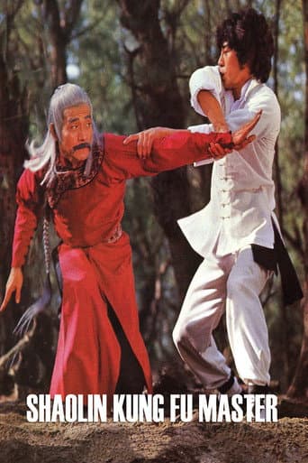 Shaolin Kung Fu Master