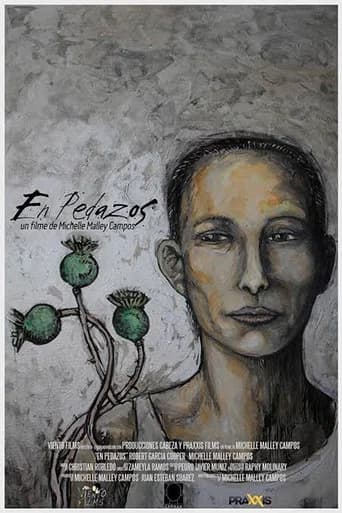 En pedazos