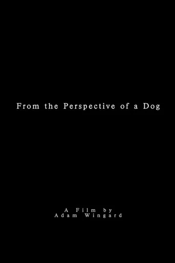 From the Perspective of a Dog