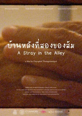 A Stray in the Alley