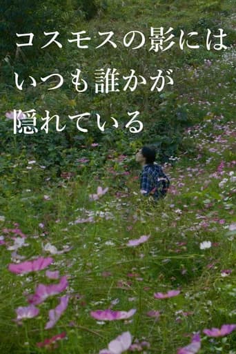 In the Shadow of the Cosmos Flowers