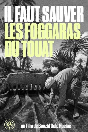 We Must Save the Foggaras of Touat