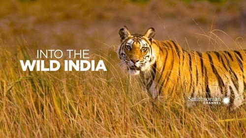 Into the Wild: India still