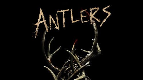 Antlers still
