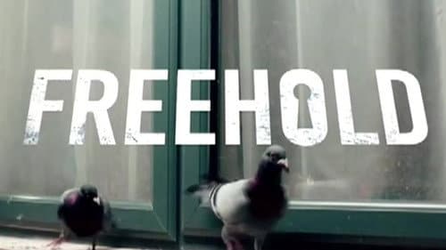 Freehold still