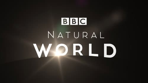 Natural World still