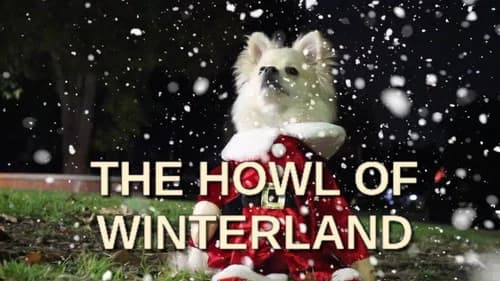The Howl of Winterland still