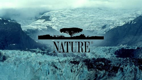 Nature still