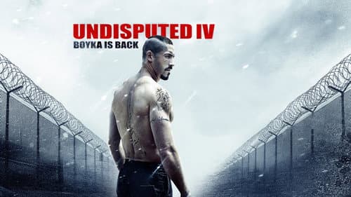 Boyka: Undisputed IV still
