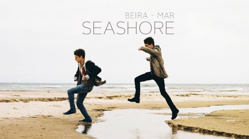 Seashore still