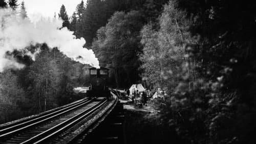 Train Dreams still