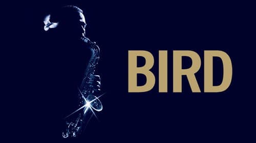 Bird still