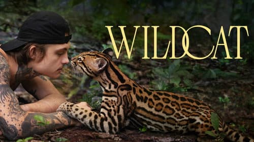 Wildcat still