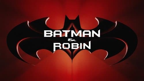 Batman & Robin still