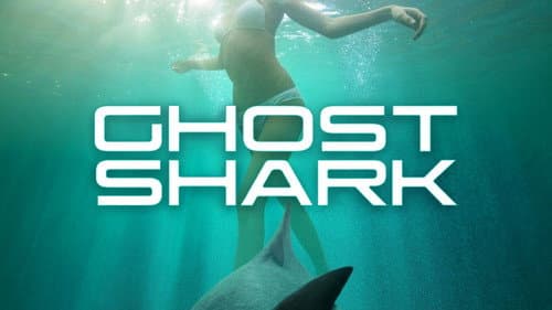 Ghost Shark still