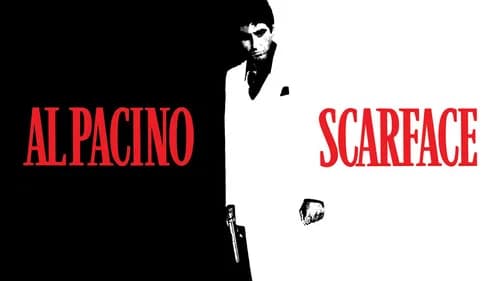 Scarface still