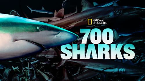700 Sharks still