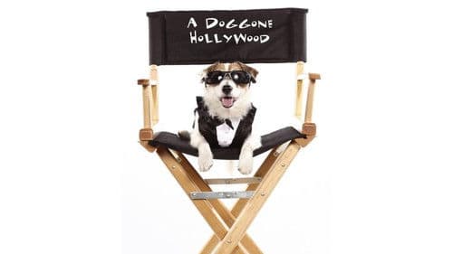 A Doggone Hollywood still