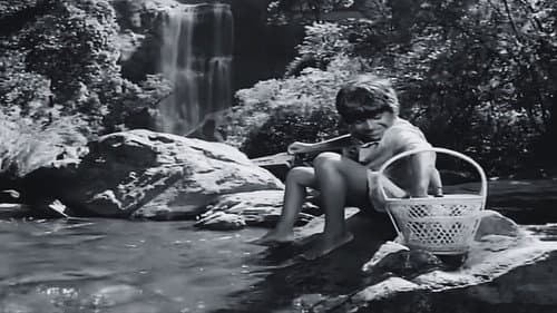 Bettada Hoovu still