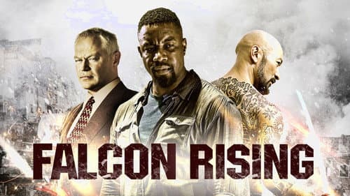 Falcon Rising still