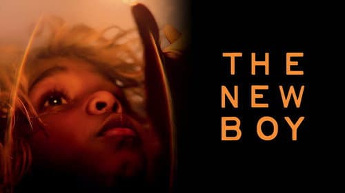 The New Boy still