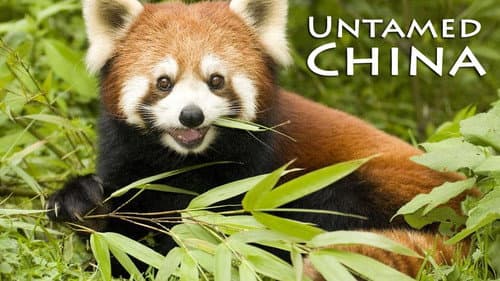 Untamed China still
