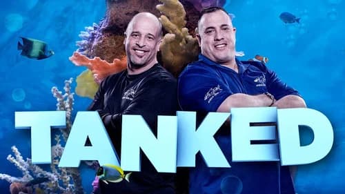 Tanked still