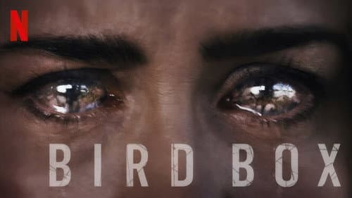 Bird Box still