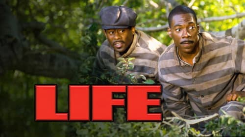 Life still