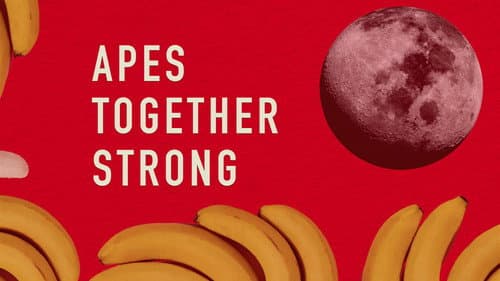 Apes Together Strong still
