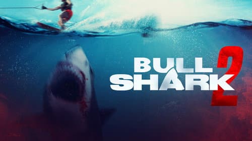 Bull Shark 2 still