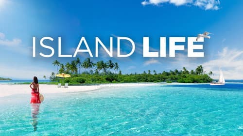Island Life still