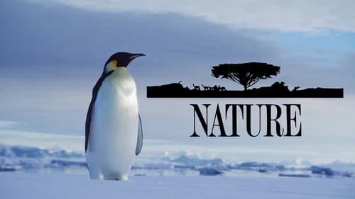 Nature still