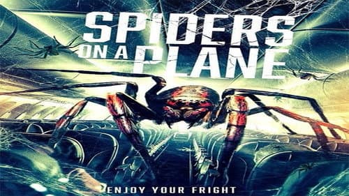 Spiders on a Plane still