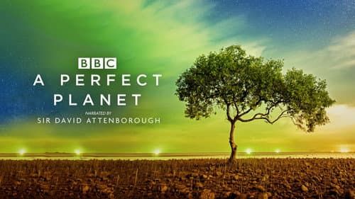 A Perfect Planet still