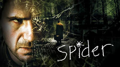 Spider still