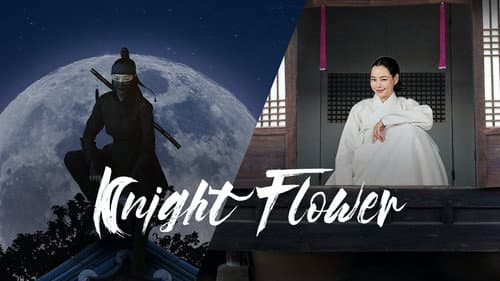 Knight Flower still