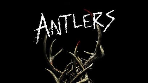 Antlers still