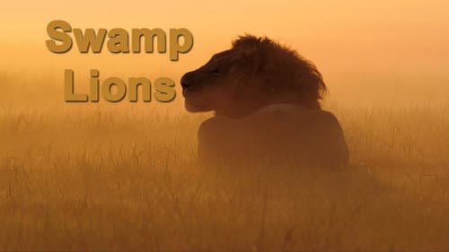 Swamp Lions still