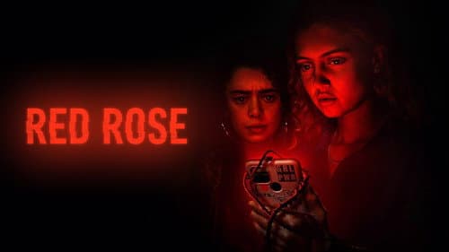 Red Rose still