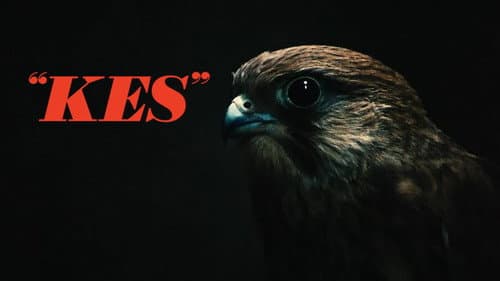 Kes still
