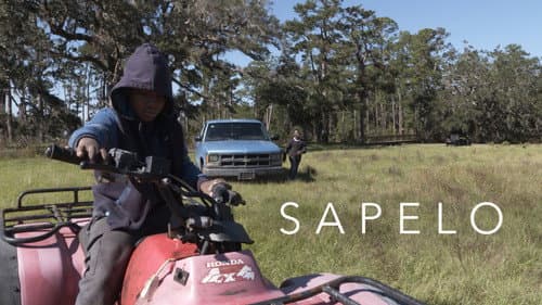 Sapelo still