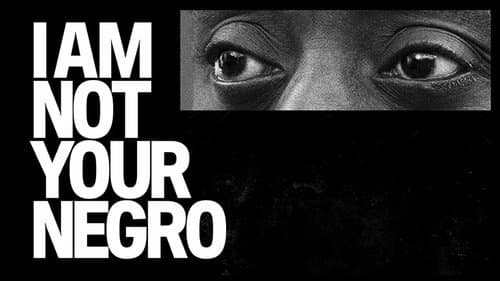 I Am Not Your Negro still