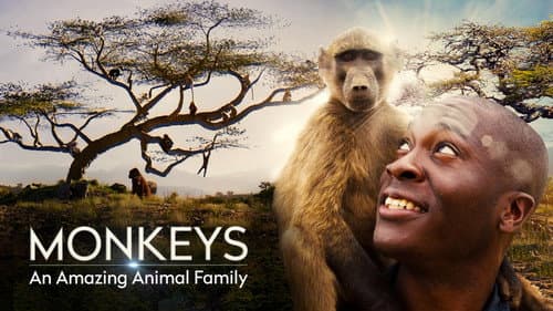 Monkeys: An Amazing Animal Family still