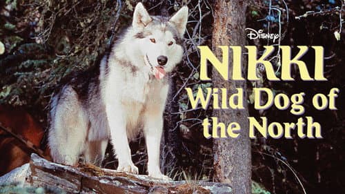 Nikki, Wild Dog of the North still