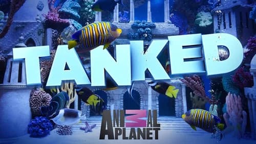 Tanked still