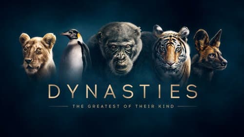 Dynasties still