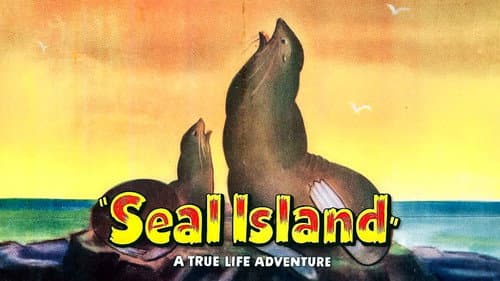 Seal Island still