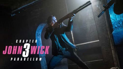 John Wick: Chapter 3 - Parabellum still