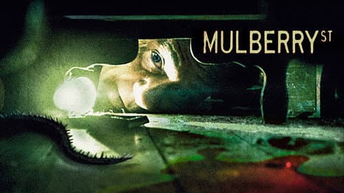 Mulberry Street still